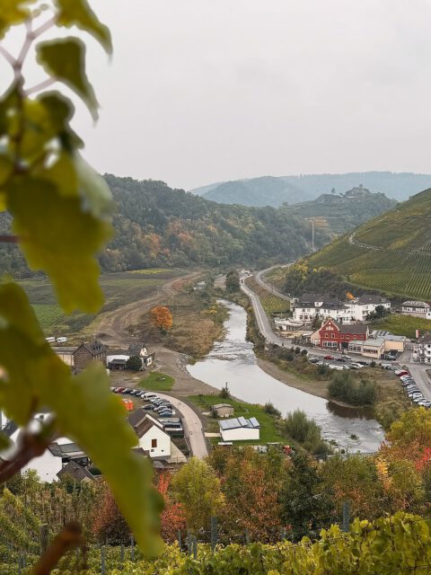 Herbststimmung bei uns in Rech ♥️🤩 
Wer kommt uns noch im goldenen Herbst besuchen?😍😍 
Noch bis zum 26.10. könnt ihr den Weinherbst auf dem Rotweinwanderweg erleben🍁🍂🍷🍇 @wein.wandern.mittelahr