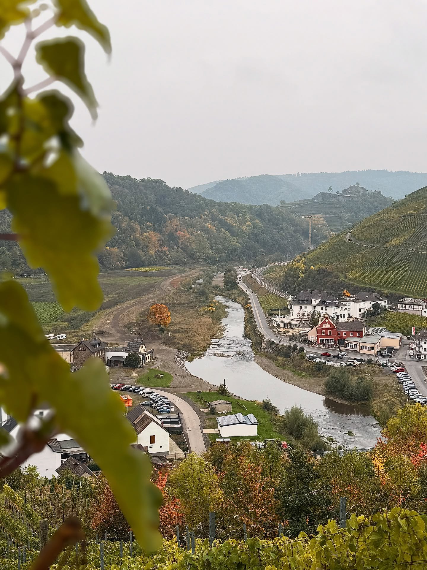 Herbststimmung bei uns in Rech ♥️🤩 
Wer kommt uns noch im goldenen Herbst besuchen?😍😍 
Noch bis zum 26.10. könnt ihr den Weinherbst auf dem Rotweinwanderweg erleben🍁🍂🍷🍇 @wein.wandern.mittelahr