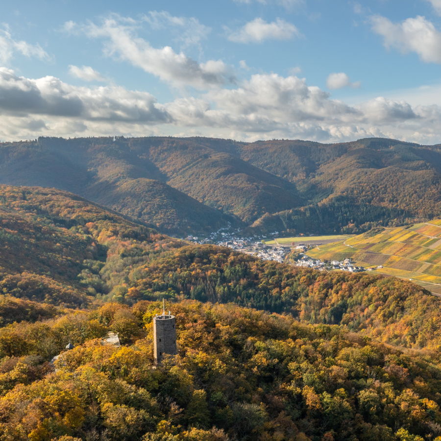 Blick über den Krausberg mit dem Krausvergturm auf das herbstliche Ahrtal bei Rech.