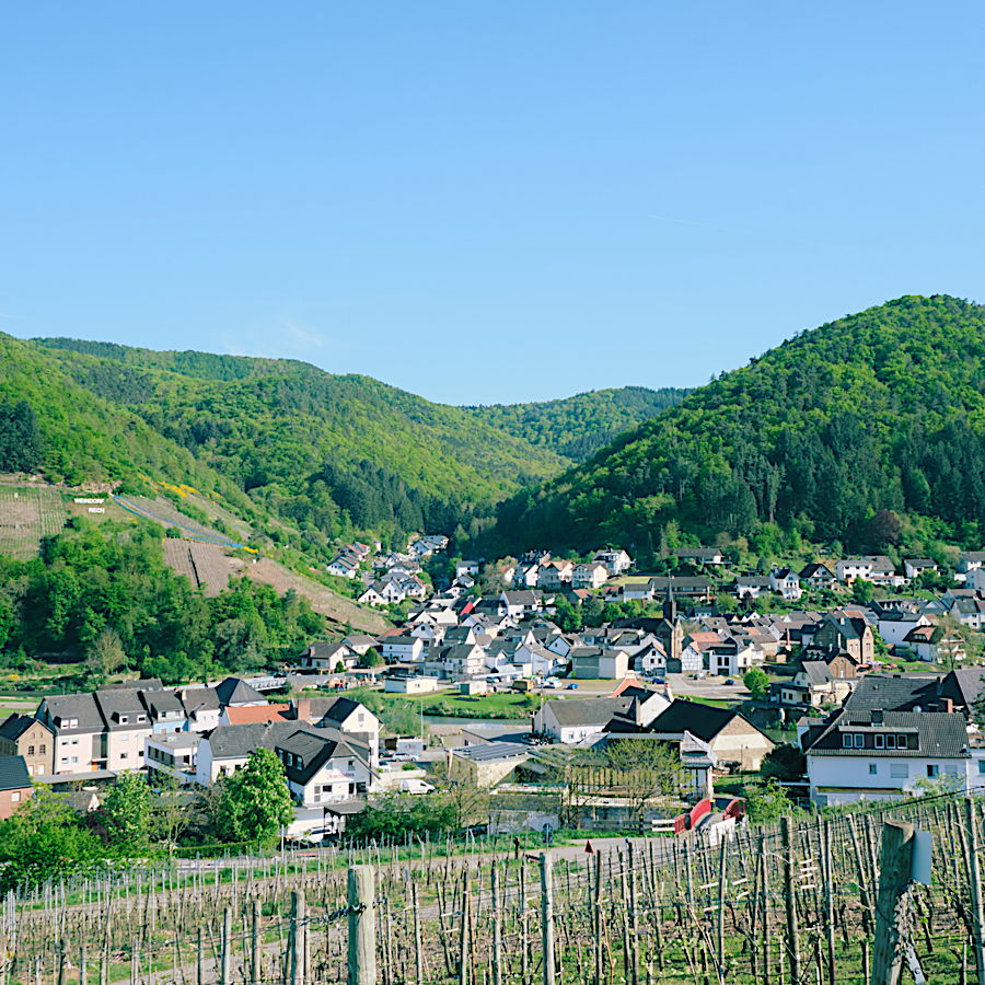 weindorf rech